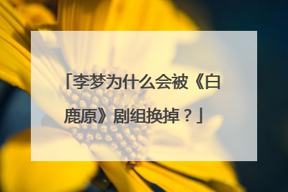 李梦为什么会被《白鹿原》剧组换掉？