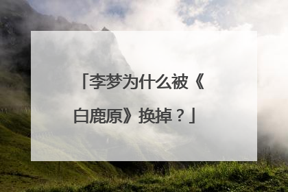 李梦为什么被《白鹿原》换掉？