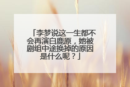 李梦说这一生都不会再演白鹿原，她被剧组中途换掉的原因是什么呢？