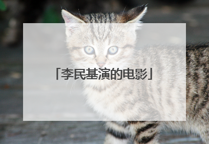 李民基演的电影
