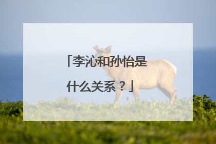 李沁和孙怡是什么关系?