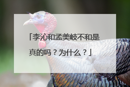 李沁和孟美岐不和是真的吗？为什么？