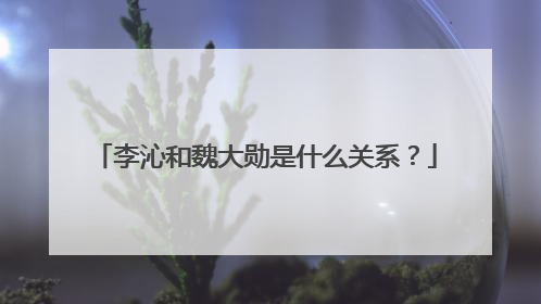 李沁和魏大勋是什么关系?
