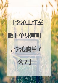 李沁工作室撤下单身声明,李沁脱单了么?