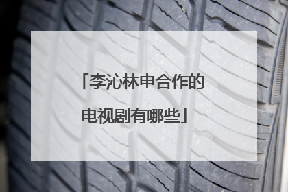 李沁林申合作的电视剧有哪些