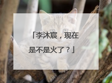 李沐宸，现在是不是火了？