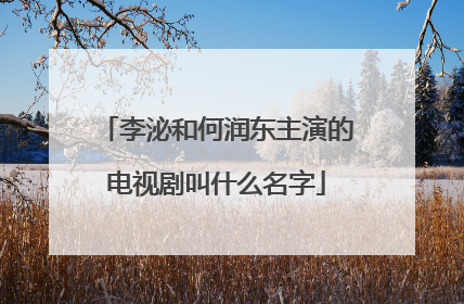 李泌和何润东主演的电视剧叫什么名字