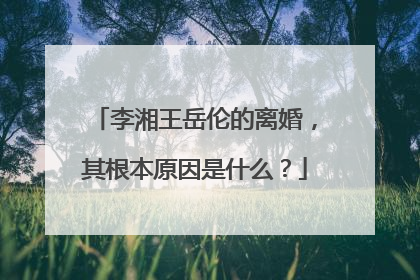李湘王岳伦的离婚,其根本原因是什么?