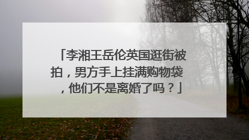 李湘王岳伦英国逛街被拍，男方手上挂满购物袋，他们不是离婚了吗？