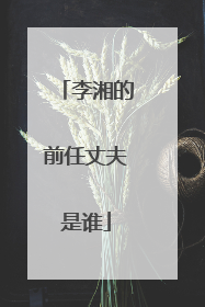 李湘的前任丈夫是谁