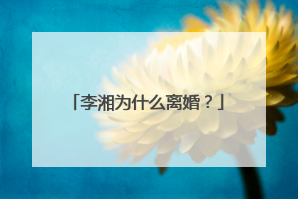 李湘为什么离婚?