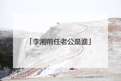 李湘前任老公是谁