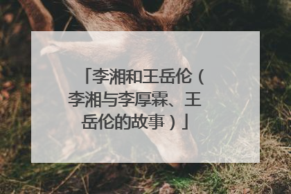 李湘和王岳伦(李湘与李厚霖、王岳伦的故事)