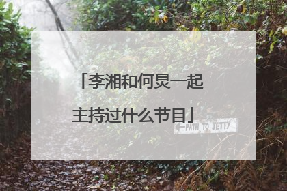 李湘和何炅一起主持过什么节目