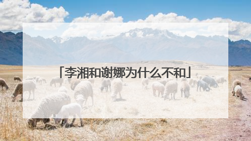 李湘和谢娜为什么不和