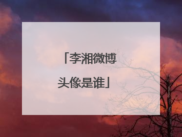 李湘微博头像是谁