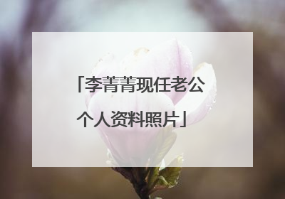 李菁菁现任老公个人资料照片