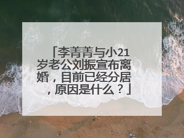 李菁菁与小21岁老公刘振宣布离婚，目前已经分居，原因是什么？