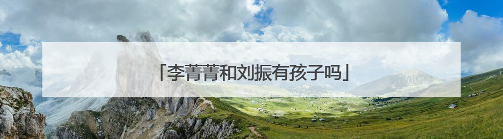 李菁菁和刘振有孩子吗