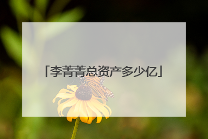 李菁菁总资产多少亿