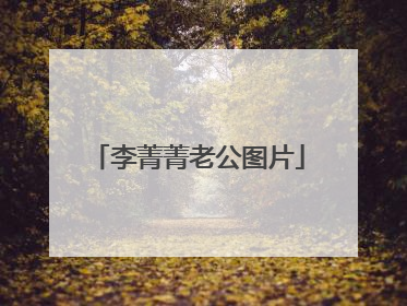 李菁菁老公图片