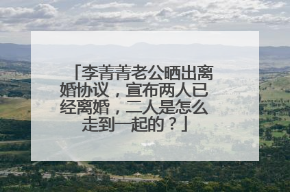李菁菁老公晒出离婚协议，宣布两人已经离婚，二人是怎么走到一起的？