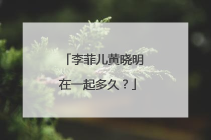 李菲儿黄晓明在一起多久？