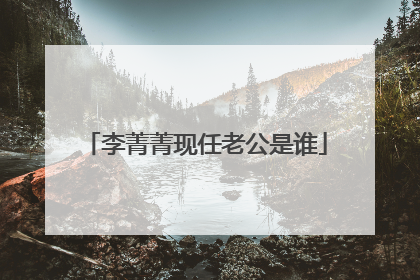 李菁菁现任老公是谁