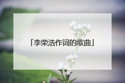 李荣浩作词的歌曲