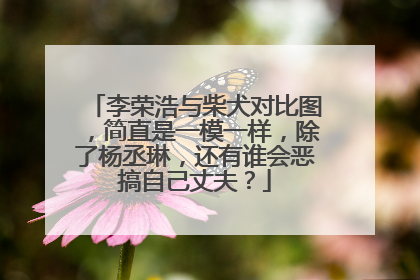 李荣浩与柴犬对比图，简直是一模一样，除了杨丞琳，还有谁会恶搞自己丈夫？
