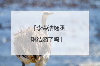 李荣浩杨丞琳结婚了吗