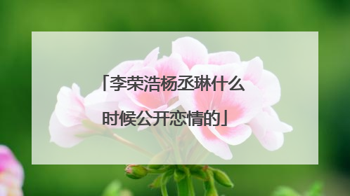 李荣浩杨丞琳什么时候公开恋情的