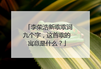 李荣浩新歌歌词九个字，这首歌的寓意是什么？