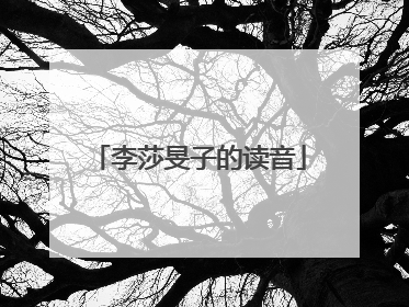 李莎旻子的读音