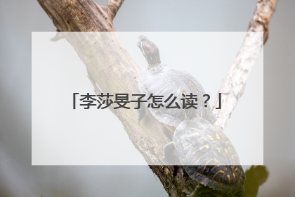 李莎旻子怎么读？