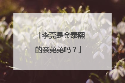 李莞是金泰熙的亲弟弟吗?