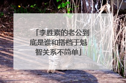 李胜素的老公到底是谁和搭档于魁智关系不简单