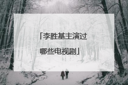 李胜基主演过哪些电视剧