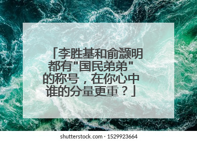 李胜基和俞灏明都有