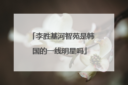李胜基河智苑是韩国的一线明星吗