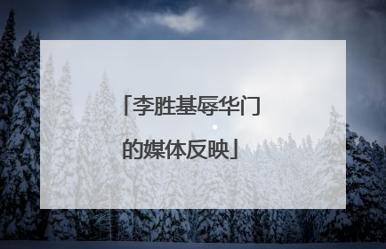 李胜基辱华门的媒体反映