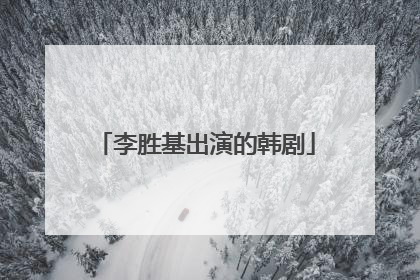 李胜基出演的韩剧