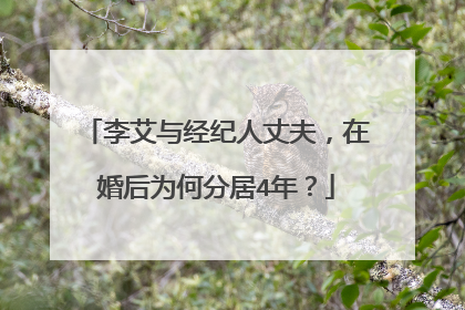 李艾与经纪人丈夫,在婚后为何分居4年?