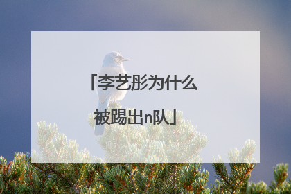 李艺彤为什么被踢出n队