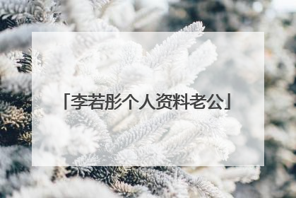 李若彤个人资料老公