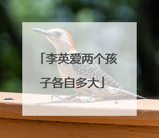 李英爱两个孩子各自多大