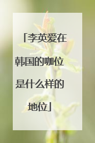 李英爱在韩国的咖位是什么样的地位