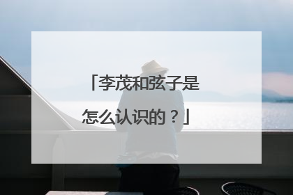 李茂和弦子是怎么认识的?