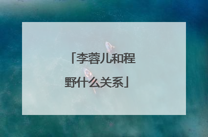 李蓉儿和程野什么关系