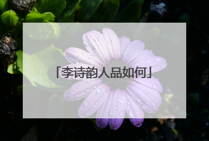 李诗韵人品如何